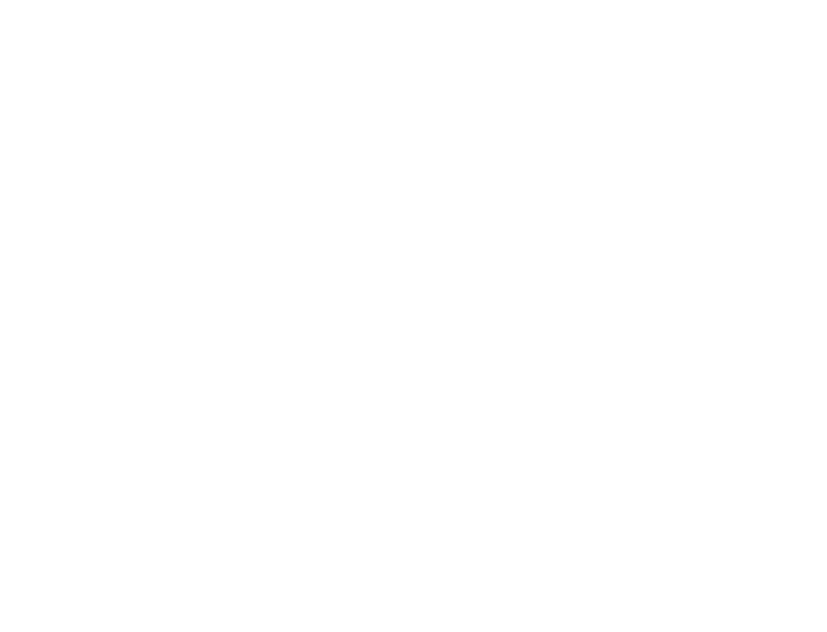 MC TERN